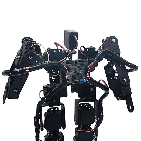 Robot biped