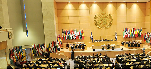 Convocada por la Asamblea General en la resolución 44/228 del 20 de diciembre