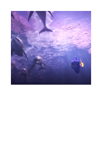 Alla ricerca di Dori