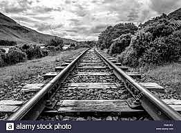 Expansion and Progress