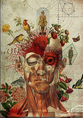 Dualidad mente-cuerpo.