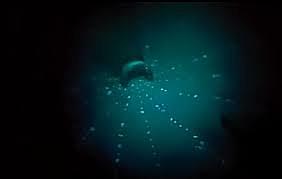 RITROVO DEI GENITORI