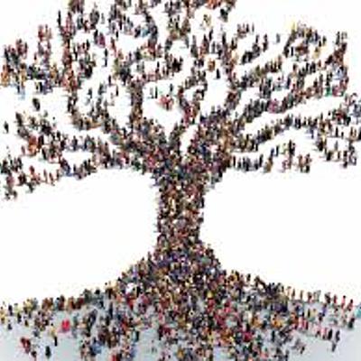 Timeline: Bien común