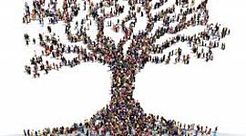 Timeline: Bien común