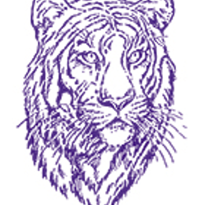 Timeline: My College Roadmap