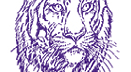 Timeline: My College Roadmap