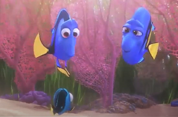 Dory da piccola