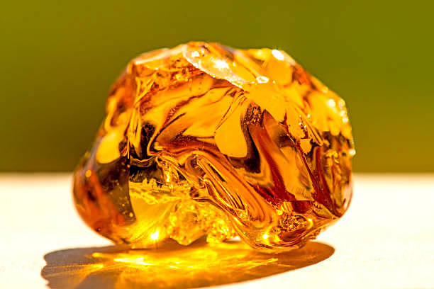 Tales de Mileto observó...