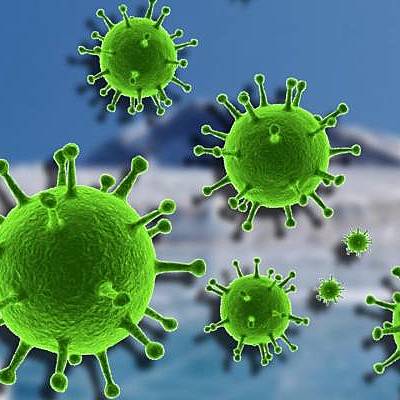 Timeline: CORONAVIRUS DENTRO DEL CUERPO HUMANO