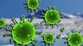 Timeline: CORONAVIRUS DENTRO DEL CUERPO HUMANO