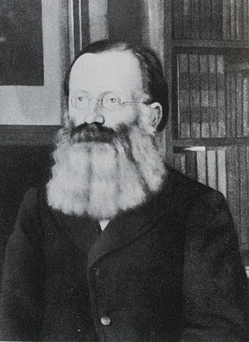 Heinrich Wettstein (1831-1895)