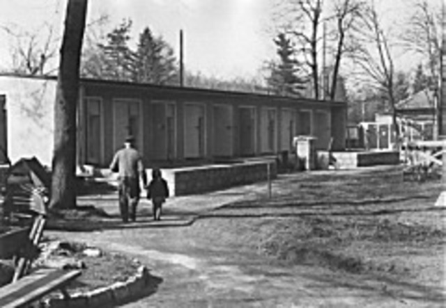 Gehege für Zwergziegen entsteht