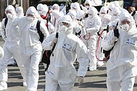 Pandemia por COVID-19