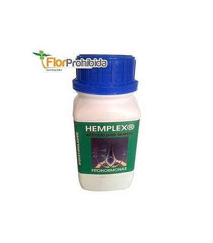 ¿QUÉ SON LAS ‘HORMONAS’ VEGETALES?