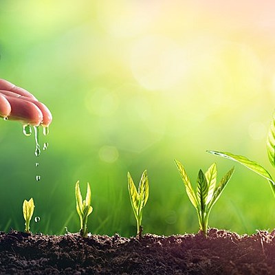 Timeline:  Mediomabiente y desarrollo sostenible