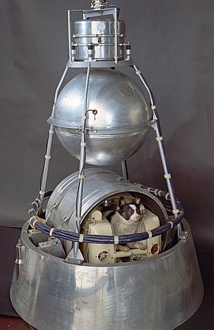 El Sputnik 2