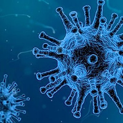 Timeline: CORONA VIRUS (COVID-19)