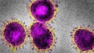 First known case in Germany