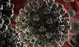 First known case in Taiwan