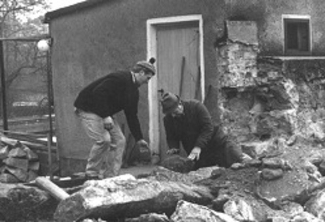 Neubau Kamerunschaf-Gehege