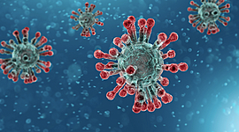 Timeline: COVID-19 Timeline_Kayley Purvis