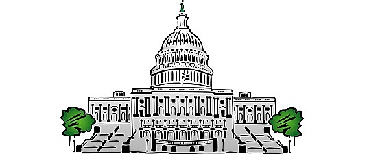 Unicameral Legislature