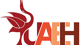 Timeline: Licenciatura en Innovación y Tecnología Educativa