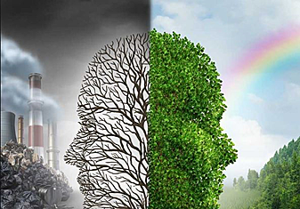 Período Extraordinario de Sesiones de la Asamblea General sobre el Medio Ambiente