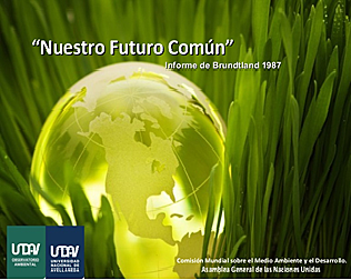 Preparación un informe para la Asamblea General