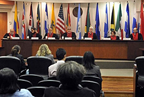 Declaración de Río sobre Medio Ambiente y Desarrollo, una serie de principios que define los derechos y responsabilidades de los Estados