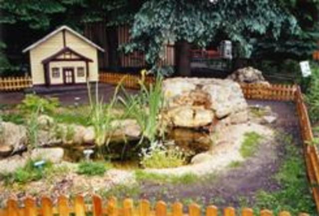 Bachlauf im Tierpark, Zauneidechsen