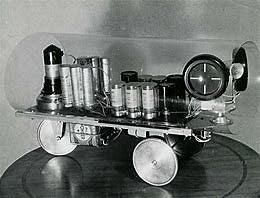 Tortue Cybernétique