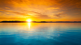 Timeline: ALLA RICERCA DI DORY