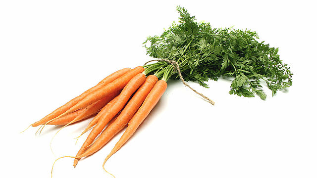 GRAN EXPANSION AGRICOLA