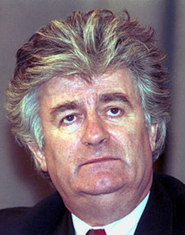 Radovan Karadzic is born