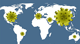Timeline: El corona-virus