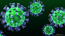 Timeline: COVID19 en el cuerpo