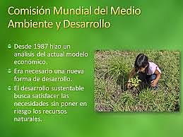 Comisión Mundial sobre el Medio Ambiente y el Desarrollo