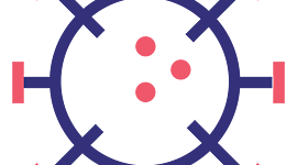 Timeline: el covid dentro del cuerpo