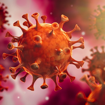 Timeline: evolución del coronavirus