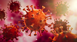 Timeline: evolución del coronavirus