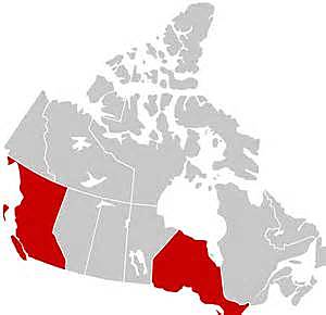 first known case in canada