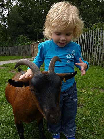 Bij de kinderboerderij