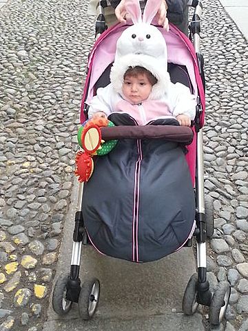 IL MIO PRIMO CARNEVALE