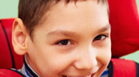 Timeline: SPED Law Timeline