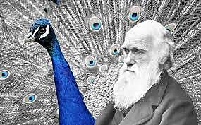 Erasmus Darwin (1731-1802)