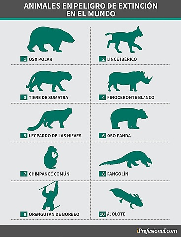 animales en peligro de extinción