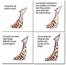 Jean Baptiste Lamarck (1744-1829)