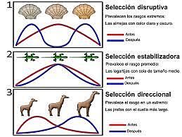 Charles Darwin (1809-1882)