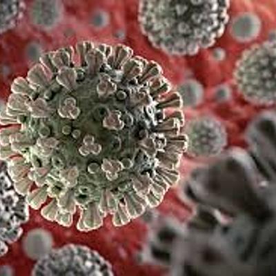 Timeline: CORONAVIRUS